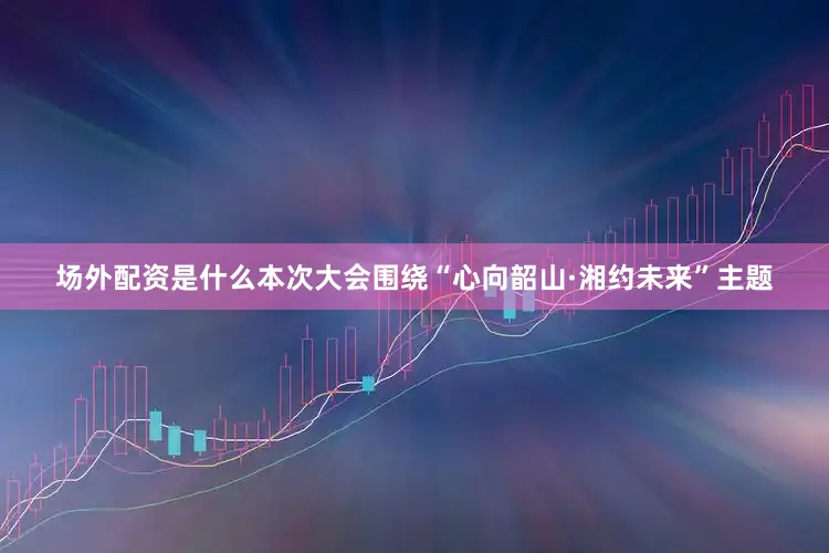 场外配资是什么本次大会围绕“心向韶山·湘约未来”主题