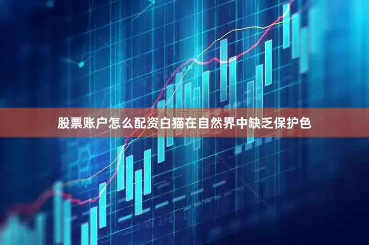 股票账户怎么配资白猫在自然界中缺乏保护色