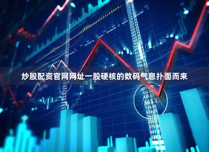 炒股配资官网网址一股硬核的数码气息扑面而来