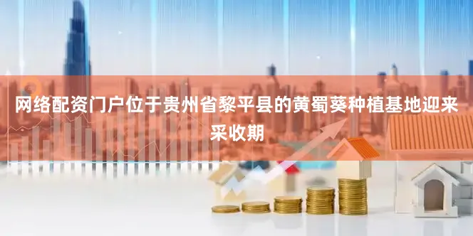 网络配资门户位于贵州省黎平县的黄蜀葵种植基地迎来采收期